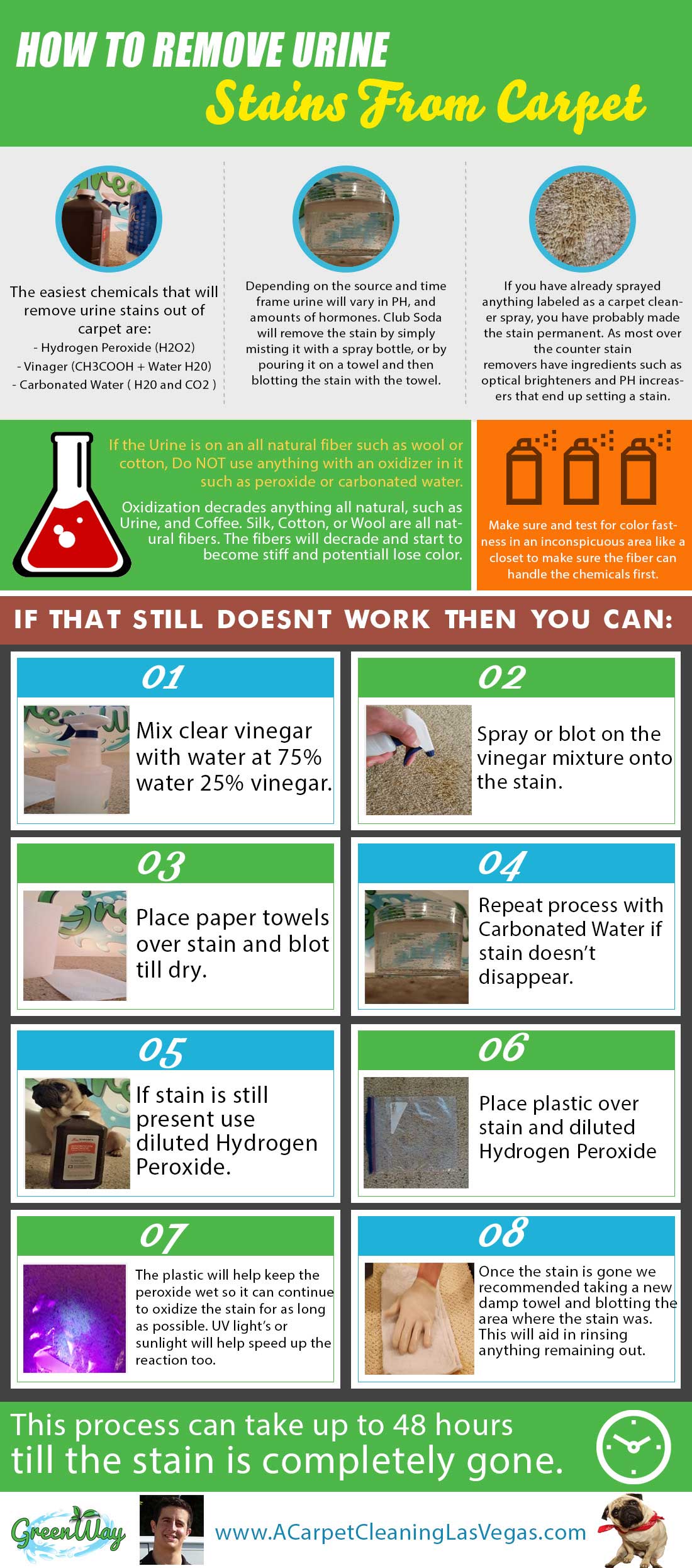 How to Remove Urine Stains from Carpet