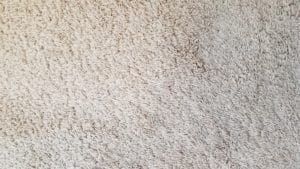 Amazing Results Las-Vegas-carpet-cleaning