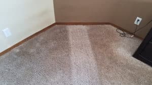 Before and After Picture of Carpet Cleaning