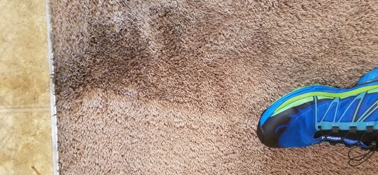 GreenWay Carpet Cleaning Las Vegas Amazing Before and After